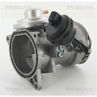 Triscan AGR-Ventil VW Touareg 2,5