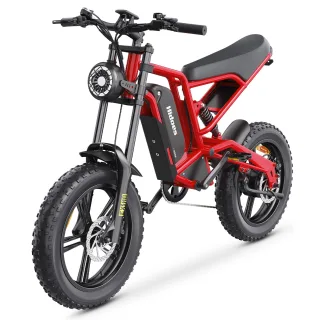 [EU DIRECT] Hidoes B6 Electric Bike 48V 15.6AH Battery 1200W Motor Recommended Top Speed 25KM/H 20inches Tires 35-40KM M