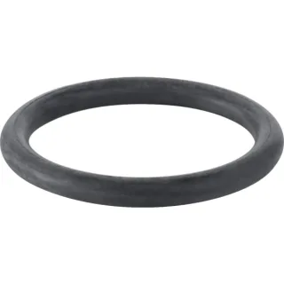 Geberit O-Ring zu Ablaufstutzen ab Modell 77 892975001