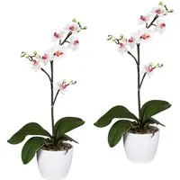 Kunstpflanze Orchidee Phalaenopsis Orchidee, Creativ green, Höhe 55 cm, im Keramiktopf