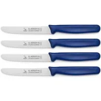 Landshop24 Brötchenmesser Brotmesser Tomatenmesser Tafelmesser 4er Set blau, Edelstahl (Spezialstahl 1.4116) konisch geschliffen