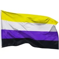 PHENO FLAGS Flagge Nichtbinär Flagge 90 x 150 cm Nicht Binär Fahne LGBT (Hissflagge für Fahnenmast), Inkl. 2 Messing Ösen