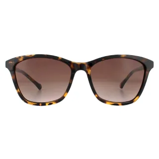 Ted Baker Lunettes De Soleil TB1440 Tari 122 Dégradé Brun De Havane