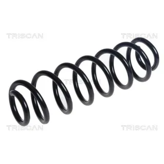 Triscan Feder hinten Skoda Octavia Superb VW Passat