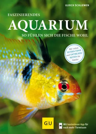 Faszinierendes Aquarium: So fühlen sich die Fische wohl. Mit Eltern-Tipps (GU Mein Heimtier neu)