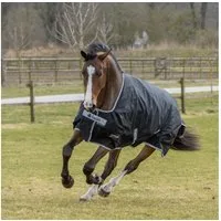 Bucas Pferde-Regendecke Bucas Anniversary Turnout Light SF 50g - Black/Silver