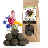 Bienenmagnet Blumensamen 12x Samenbomben (bunte Bienenweide) - Farbenfrohe Seedbombs, Seedbombs