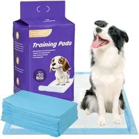 NANIPETS Hundematte Trainingspad für Hunde Welpenunterlagen, Superabsorbierendes & Auslaufsichere Wickelunterlagen, 45 x 60 cm Extra Große, Dicke Pet Pads, Packung mit 100