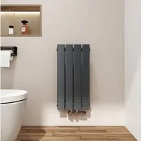 EMKE Heizkörper Anthrazit/Weiß Einlagig Flach Design Paneelheizkörper Breite: 30cm, Vertikal, Mittelanschluss 210W für 3qm Raum