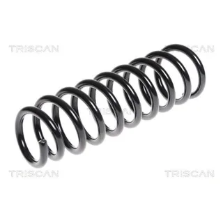 Triscan Feder hinten Hyundai I30 Kia Ceed 87501849