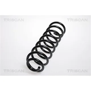 Triscan Feder hinten Renault Megane 2 87502559