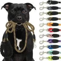 Reichstadt Hundeleine RS Pets Führleine Nylon 25RSP084, Nylon, Ergonomischer EVA-gepolsterter Griff für Blasenschutz