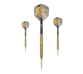 Target Bolide Envy 01 Swiss Point Steeldarts