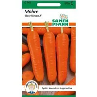 SAMEN PFANN Gemüsesamen Möhre, Rote Riesen 2 - Möhren-Samen Saatgut Samen, Daucus carota