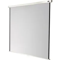 Celexon Economy Rolloleinwand (schwarze Rückseite)