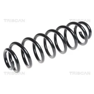 Triscan Feder hinten Skoda Octavia Yeti VW Golf T-Roc Touran