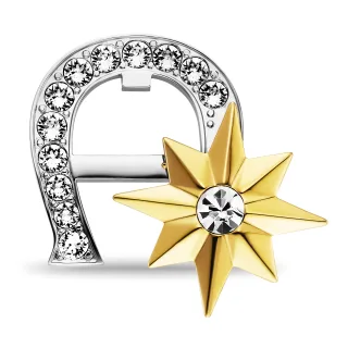 Logo Brosche mit Steinchen