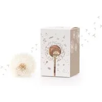 Die Stadtgärtner Spardose Kreative Verpackung zum Geld verschenken, Wunscherfüller Pusteblume