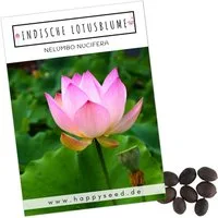 HappySeed Blumensamen Lotus Samen winterhart (Nelumbo nucifera) - Indische Lotusblume Samen, Blumen