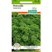 SAMEN PFANN Kräutersamen Petersilie, Grüne Perle - Gewürz Petersilien-Samen Saatgut Samen, Petroselinum crispum