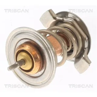 Triscan Thermostat Porsche 911 Boxster Cayman 862052583