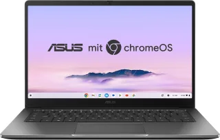 ASUS Chromebook CX14 CX1405CTA-S60133 [14'' Core 3 N355 18GHz 8GB RAM 128GB SSD Intel UHD Graphics Chrome OS] rock grey