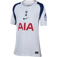 Nike Fußballtrikot Nike Performance Premier League