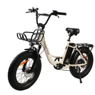 [EU Direct] UNIVERCYCLE B5 Electric Bike 48V 13AH Battery 500W Peak Power Motor Recommended Top Speed 25KM/H 20Inch Tire