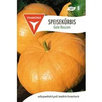 FRANKONIA Gemüsesamen Speisekürbis, Gele Reuzen - Kürbis-Samen Saatgut Samen, Cucurbita pepo