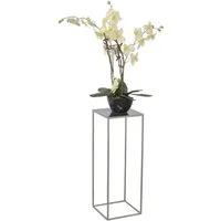 moebel-direkt-online Blumentisch Iris (In drei Farben lieferbar, In drei Höhen lieferbar), aus Metall