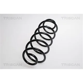 Triscan Feder hinten Peugeot 207/207+ 1,4
