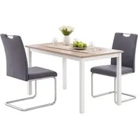 HTI-Line Freischwinger Schwingstuhl KellyC Grau 2er (Set, 2 St), Freischwinger Esszimmerstuhl
