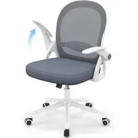 ZAISZE Bürostuhl Ergonomisch, Schreibtischstuhl mit Atmungsaktiver Rückenlehne (Chefsessel aus Mesh, Drehstuhl 360°, Verstellbarer Armlehnen, Höhenverstellbar), Einstellbarer für maximale Bewegungsfreiheit