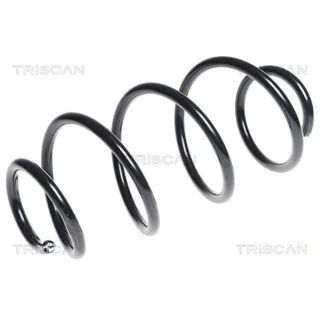 Triscan Feder vorne Citroen Ds5 Peugeot 308 875028206
