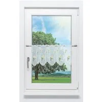 Plauener Spitze® Scheibengardine Margerite (1 St), transparent, HxB 30x48.9cm