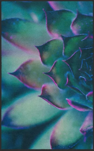 Fussmatte 7275 | Größe: 60 cm x 90 cm