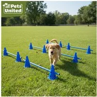 all Pets United Trainingshilfe All Pets United Trainingsset Hund & Kinder, Hunde Sport & Lernhilfe