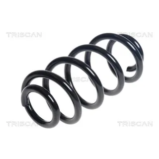 Triscan Feder hinten BMW 2er 875011240