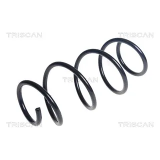 Triscan Feder vorne Mazda Cx-3 2,0