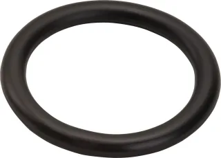 Hansgrohe Schnurring 48X7 , 98003000 98003000