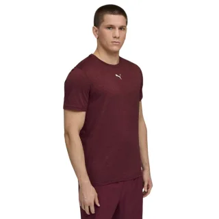 Puma - "Tad" T-Shirt für Herren, Performance, Fitnessstudio (Burgunderrot)