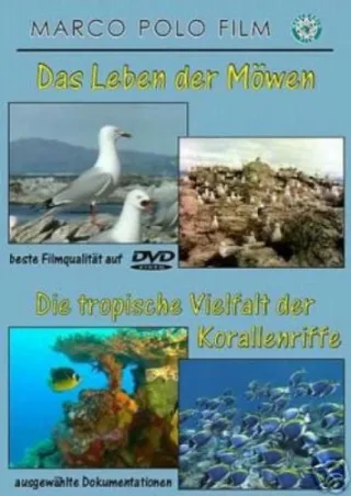 Das Leben der Möwen/tropische Vielfalt der Korallenriffe