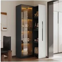 BlingBin Stauraumvitrine LED-Vitrine Multifunktionsschrank (1-St., mit warmgelben Aluminium-Lichtleisten, Soft-Close-Scharniere) Soft-Close-Scharniere, mehrfarbiger Beleuchtung & Kippschutz