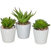 Kunstkaktus Künstlicher Sukkulentenmix im Topf. 3er Set Kunstpflanzen ca.11-13cm, Gasper, Höhe 13.00 cm