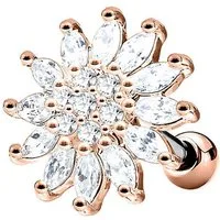 Taffstyle Piercing-Set Tragus Helix Cartilage Blumen Blüte mit Kristall, Ohr Cartilage Knorpel Piercing 316 L Chirurgenstahl Stecker Blumen