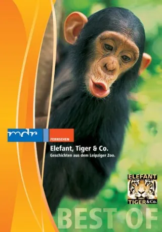 Elefant Tiger & Co. Teil 1. Geschichten aus dem Leipziger Zoo [DVD] [2004]