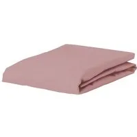 Essenza Spannbettlaken Premium Percale, Perkal, Gummizug: rundum, (1 Stück), Uni Baumwollperkal