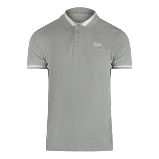 Cavalli Class - Graues Poloshirt Mit Auffälligem Streifenkragen