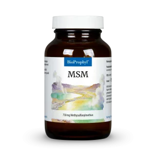 MSM