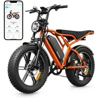 SISIGAD E-Bike Mountainbike 20'' Fat Tire 250W Motor, 48V 15Ah, herausnehmbarem Akku, fatbike, APP, Shimano, Heckmotor, 720 Wh, 7-Gang-Schaltung, 4 Fahrmodi, LCD-Display,Vollfederung,leistungsstark